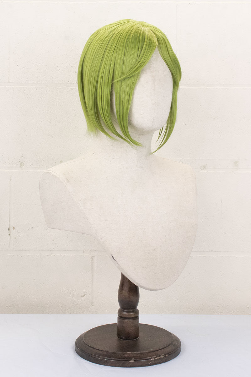 coscraft-wigs-coco-per-cke-lang-bob-hitzebest-ndig image 2